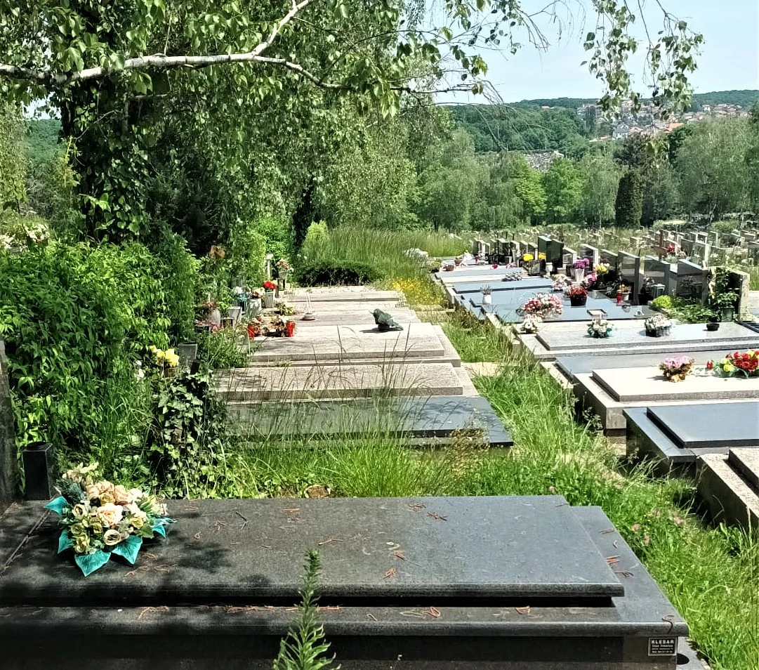 groblje Miroševac zaraslo travom