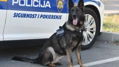Policijski pas za detekciju droga, ilustracija