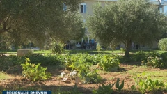 Korisnici doma u Biljanima Donjim kod Zadra vitalnost održavaju radom u vrtu 