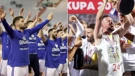 Dinamo osvojio prvenstvo, Hajduk Kup