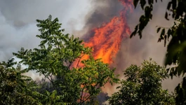 Vrućine dižu stupanj rizika nastanka požara