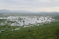  Poplavljeni nasadi u vrgoračkom kraju, Foto: Matko Begovic / Poplavljeni nasadi u vrgoračkom kraju Matko Begovic 