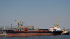 Zelenski optužio Rusiju da namjerno koči izvoz ukrajinskih žitarica