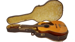 'Izgubljena' Lennonova akustična gitara iz 60-ih