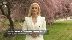 Ivana Čavlina Tomašević