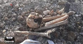 Karlovac: Pronađene ljudske kosti