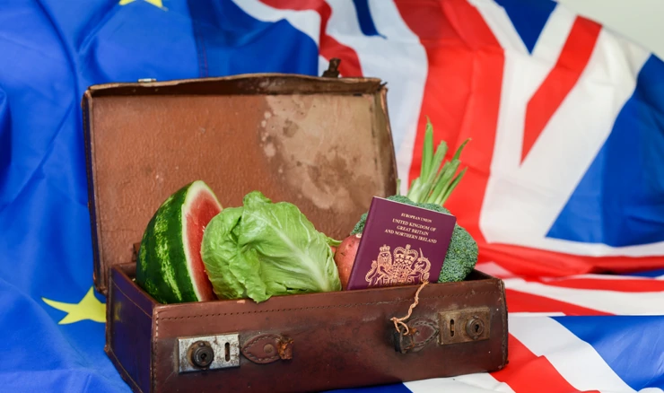 Britanska kontrola europske hrane