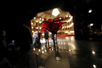 Medijska nagrada Večernjakova ruža, Foto: Boris Scitar/Vecernji list/PIXSELL