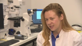 dr. Jelena Godrijan uz pomoć EMBO potpore istražuje kokolitoforide