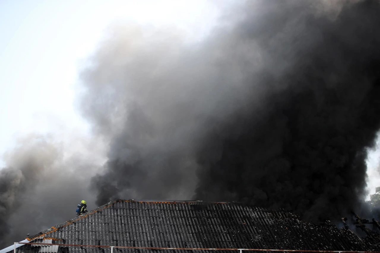 Požar na Krugama, Foto: Slavko Midzor /PIXSELL