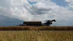 SAD radi na pronalaženju alternativnih puteva za izvoz žita iz Ukrajine