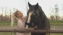 Program terapije i aktivnosti s pomoću konja