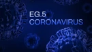 Eris, novi soj koronavirusa