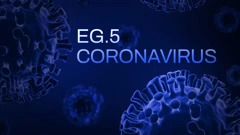 Eris, novi soj koronavirusa