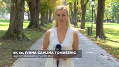 Ivana Čavlina Tomašević
