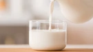 Proizvodnja mlijeka na obiteljskim gospodarstvima pala za 9,9%