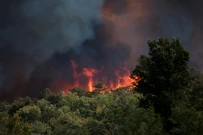 Požar u Sloveniji, Foto: Borut Zivulovic/REUTERS 