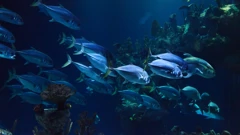 EU obećava 3,5 mlrd. eura za zaštitu oceana 
