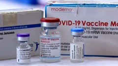 Cjepivo Moderne