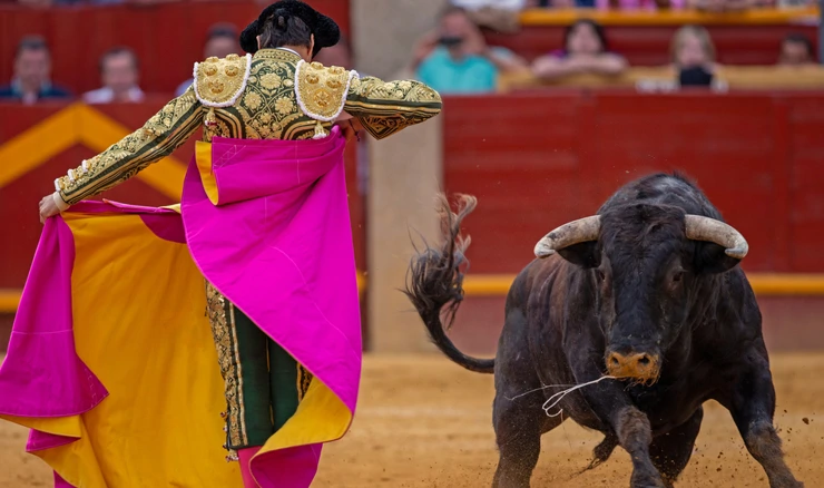 Španjolska ukinula godišnju nagradu za borbe s bikovima