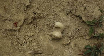 Karlovac: Pronađene kosti, nalik na ljudske