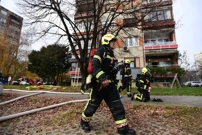 Požar u zagrebačkom naselju Peščenica, Foto: Igor Soban/PIXSELL