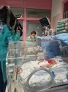 Baby boom u Petrovoj, Foto: Ruža Ištuk/HRT