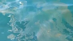 Onečišćenje mora u Vranjicu