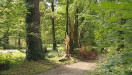 Porušena stabla u parku Maksimir