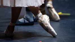 Ilustracija, baletne papučice