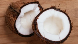 Kokosov orah