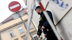 Policajac pred Banskim dvorima, Foto: Josip Regović/PIXSELL