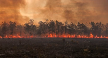 U šumskom požaru u Španjolskoj uništeno 600 hektara u jednom danu