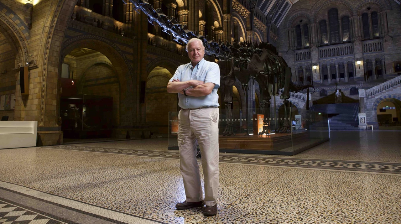Utorak, 2. studenoga na Prvom   , Foto: Globalna pustolovina Davida Attenborougha/dokumentarna serija