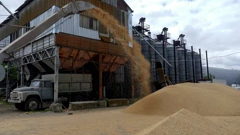 Rusija obustavila sudjelovanje u sporazumu o izvozu ukrajinskih žitarica