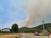Požar u selu Lipa u Sloveniji, Foto: Sasa Miljevic/Pixsell