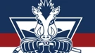 KHL Zagreb, logo