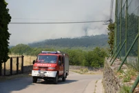 Požar na Krasu, Foto:  Sasa Miljevic /PIXSELL